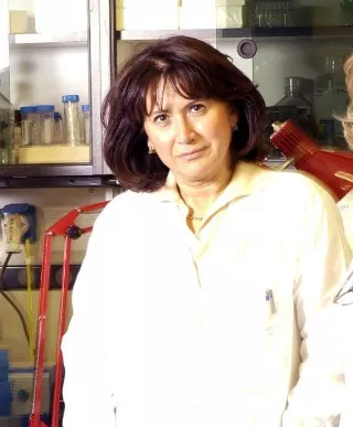 Alta Formazione: Maria Grazia Daidone